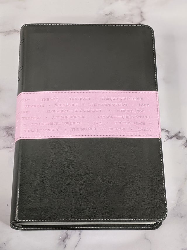 Bibles