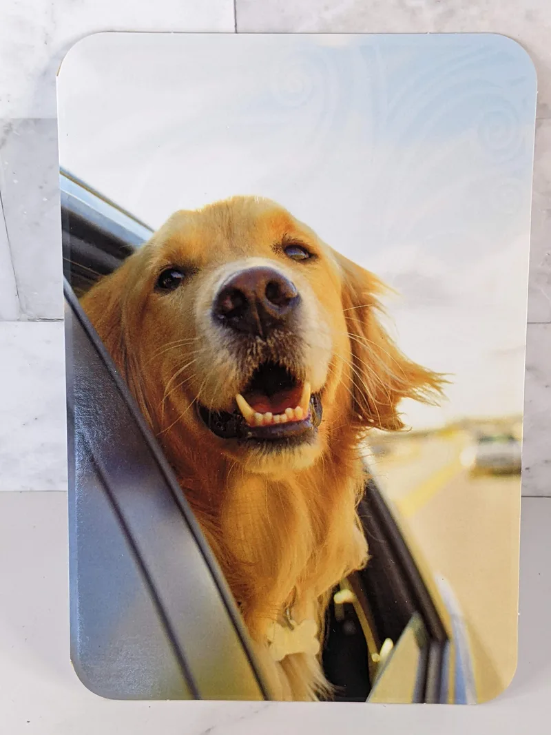 Wonderful Day Card