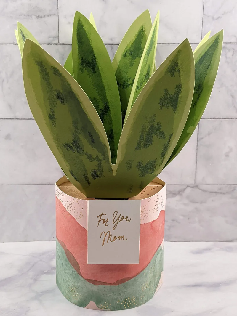Mother's Day Pop-Up Plant Card